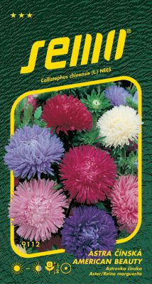 Astra čínská - American beauty směs 0,5g