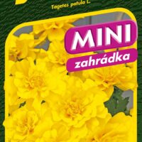 Aksamitník rozkladitý - Safari Yellow 30s - série MINI