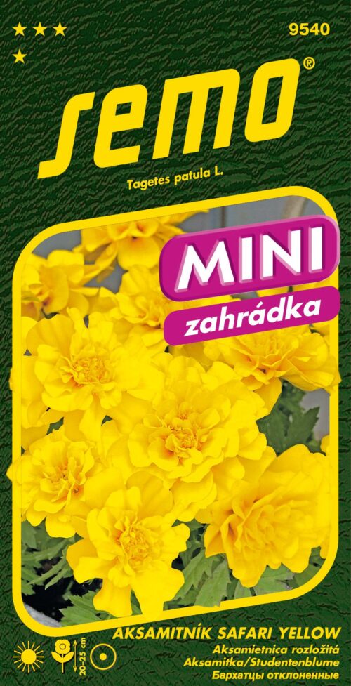 Aksamitník rozkladitý - Safari Yellow 30s - série MINI - Image 1