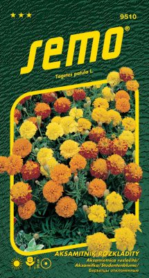 Aksamitník rozkladitý - Petit směs 1g