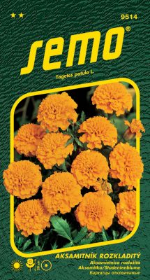 Aksamitník rozkladitý - Petit oranžový 1g