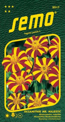 Aksamitník rozkladitý - Mr.Majestic 50s