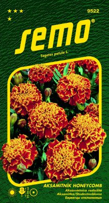 Aksamitník rozkladitý - Super Hero Orange Flame 30s