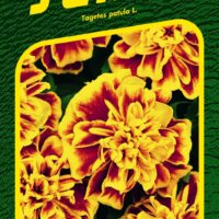 Aksamitník rozkladitý - Bonanza Bee 30s