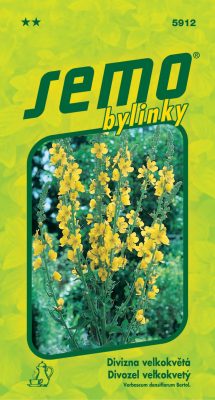 Divizna velkokvětá - Zlata 0,1g