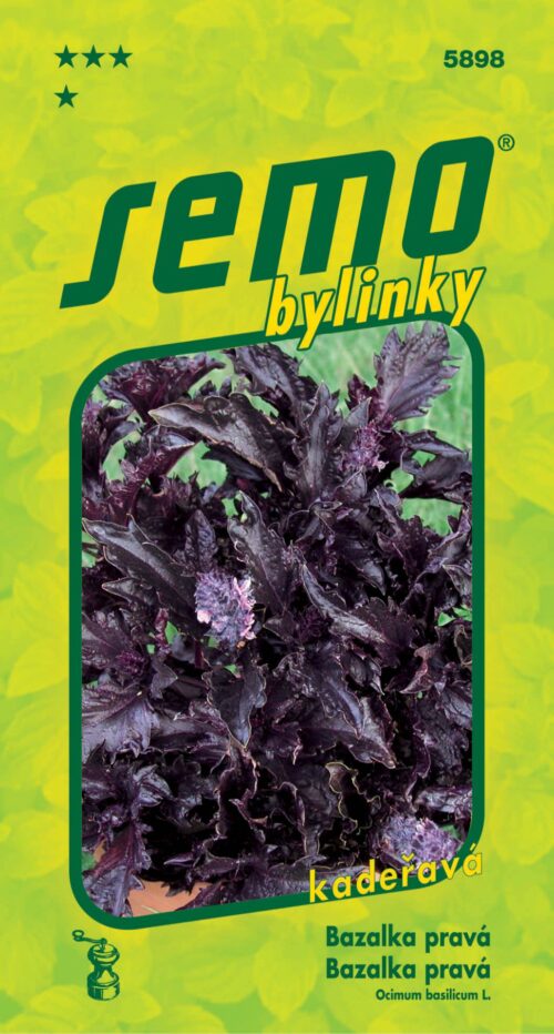 Bazalka pravá - Purple Ruffles (kadeřavá) 0,15g - Obrázek 1