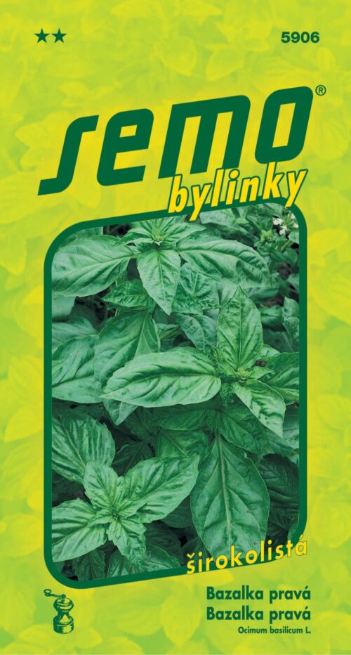 Bazalka pravá - Dark Green 1g - Obrázek 1