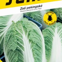 Zelí pekingské - Parkin F1 50s