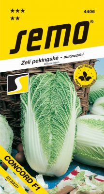 Zelí pekingské - Concord F1 soudeček 50s