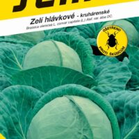 Zelí kruhárenské - Pavlo F1 pozdní 40s