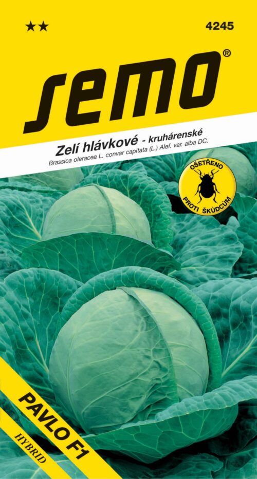 Zelí kruhárenské - Pavlo F1 pozdní 40s - Obrázek 1