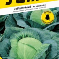 Zelí ke skladování - Holt pozdní 0,8g