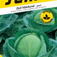 Zelí jarní - Unikát F1 rané 50s