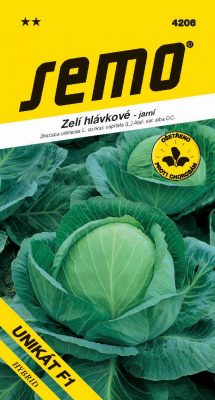 Zelí jarní - Unikát F1 rané 50s