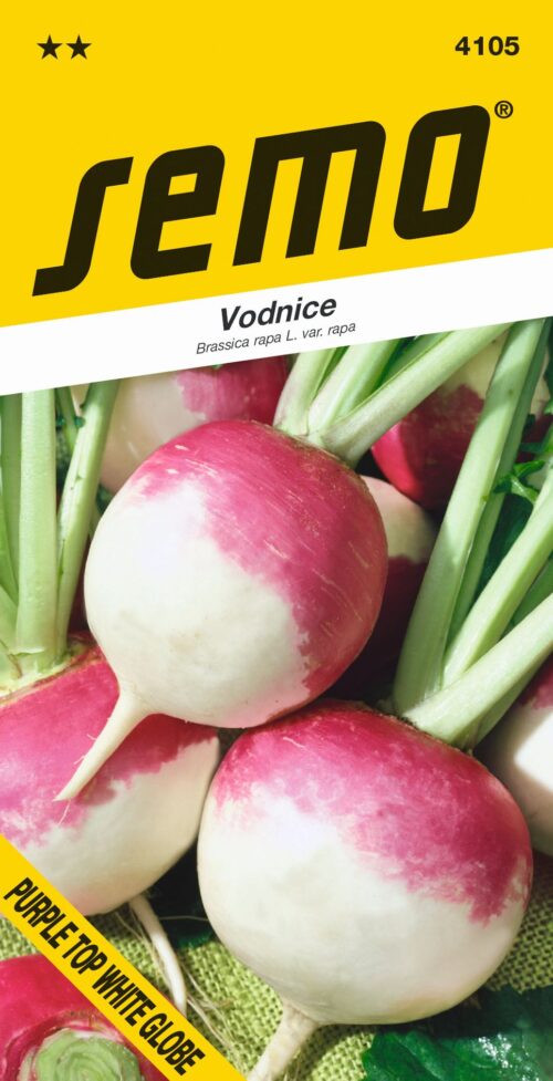 Vodnice - Purple Top White Globe (bělomasá) 2g - Image 1