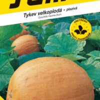 Tykev plazivá - Goliáš velkoplodá 9s