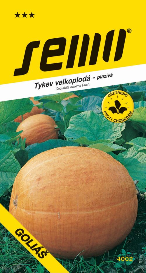 Tykev plazivá - Goliáš velkoplodá 9s - Obrázek 1
