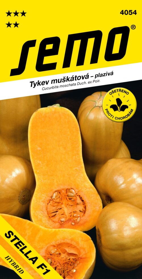 Tykev muškátová - Stella F1 (typ Butternut) konz.vař 2g - Obrázek 1