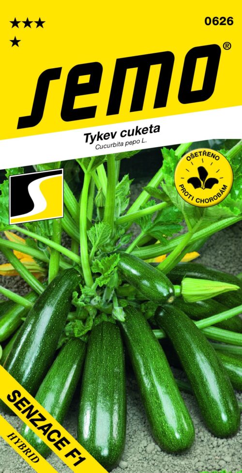 Tykev cuketa - Senzace F1 mírně síťovaná 1,5g - Obrázek 1