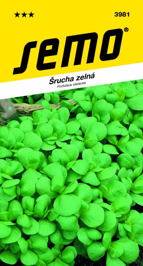 Šrucha - Green Purslane 0,4g - Obrázek 1