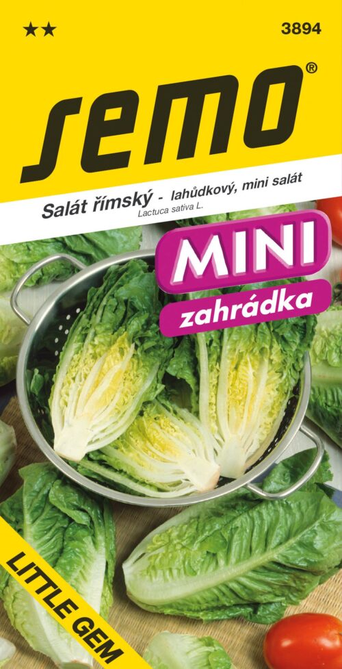 Salát římský - Little Gem, polní 0,6g - série MINI - Obrázek 1