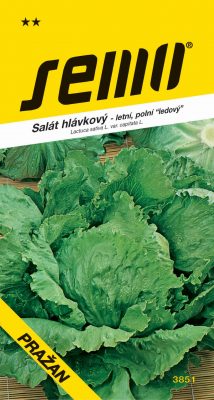 Salát ledový - Pražan polní 0,6g