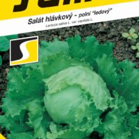 Salát ledový - Miniko polní menší 0,4g