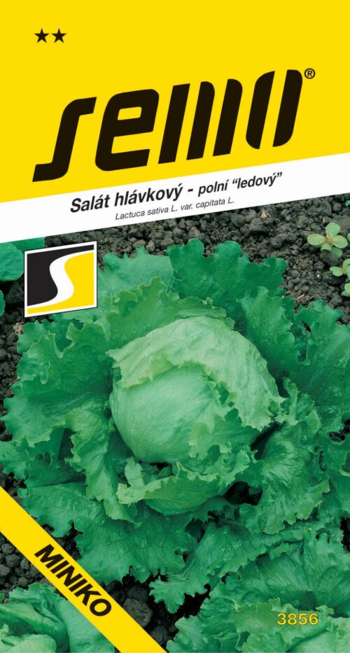 Salát ledový - Miniko polní menší 0,4g - Obrázek 1
