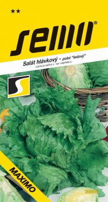 Salát ledový - Maximo polní velký 0,5g