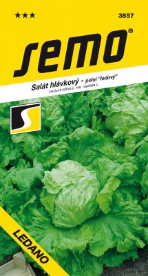 Salát ledový - Ledano polní 0,6g