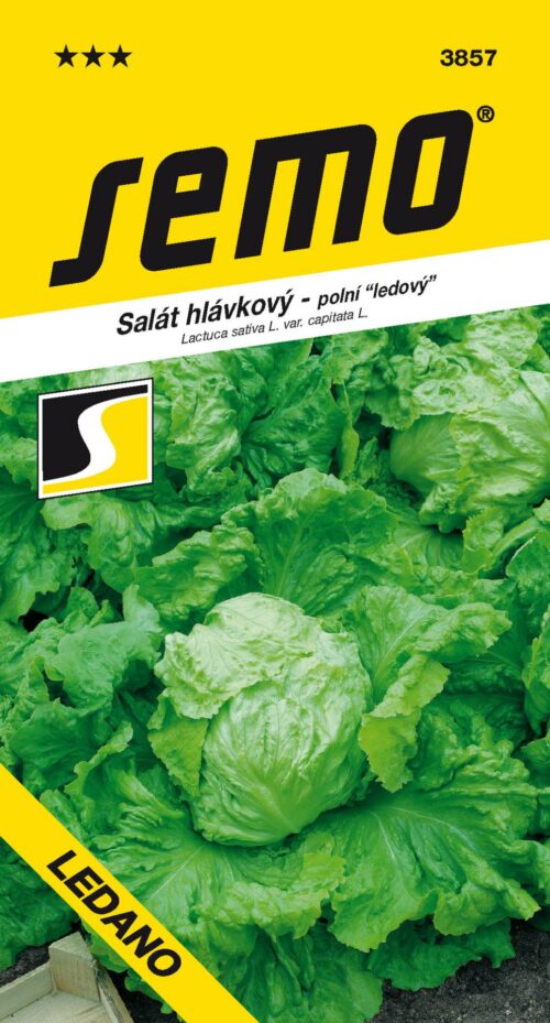 Salát ledový - Ledano polní 0,6g - Obrázek 1