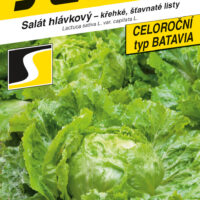 Salát hlávkový - Batavus PROFI polní 0,6g