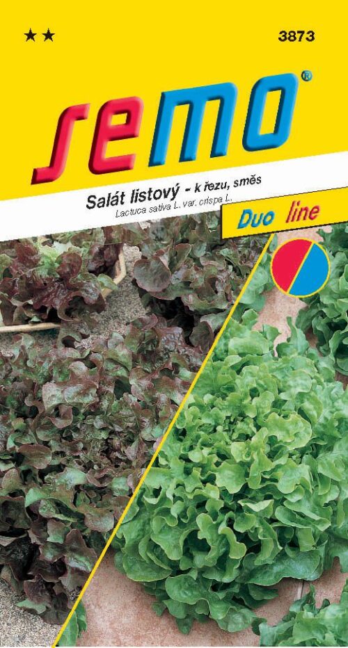 Salát kadeřavý k řezu - směs typu Bowl 0,6g - série DUO - Obrázek 1