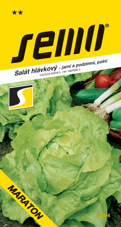 Salát jarní - Maraton polní (podzimní) 0,6g - Obrázek 1