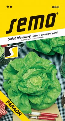 Salát jarní - Faraon polní (podzimní) 0,6g