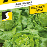 Salát celoroční - Saturion polní PROFI - velká hlávka 0,6g