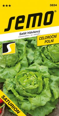 Salát celoroční - Saturion polní PROFI - velká hlávka 0,6g