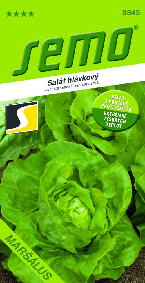 Salát celoroční - Maršálus PROFI polní 0,5g /TEPELNĚ OŠETŘENO/ - Image 1