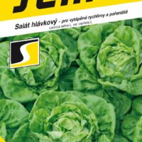 Salát celoroční - Bremex PROFI vytáp. rychlírny 0,4g