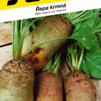 Řepa krmná - Bučianský žltý valec 3g