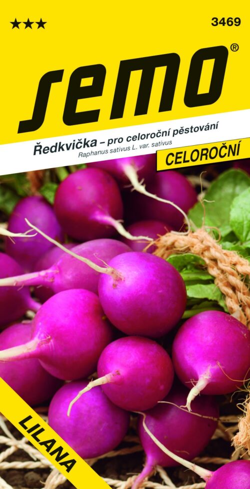 Ředkvička fialová - Lilana rychl, pole celoroční 5g - Obrázek 1