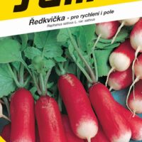 Ředkvička čb - Slavia rychl, pole podl. 5g