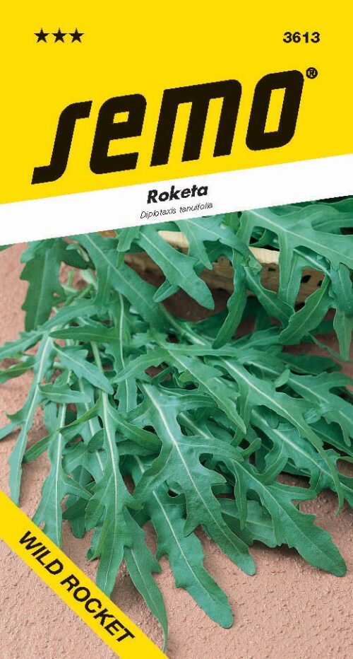 Roketa setá - Wild Rocket - Diplotaxis tenuifolia 1,2g - Obrázek 1