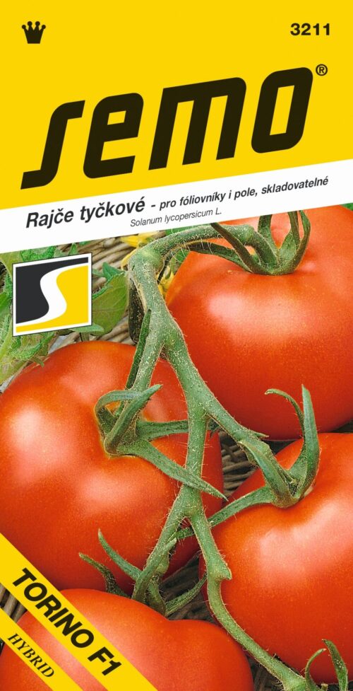 Rajče tyč. - Torino F1 45s - Obrázek 1