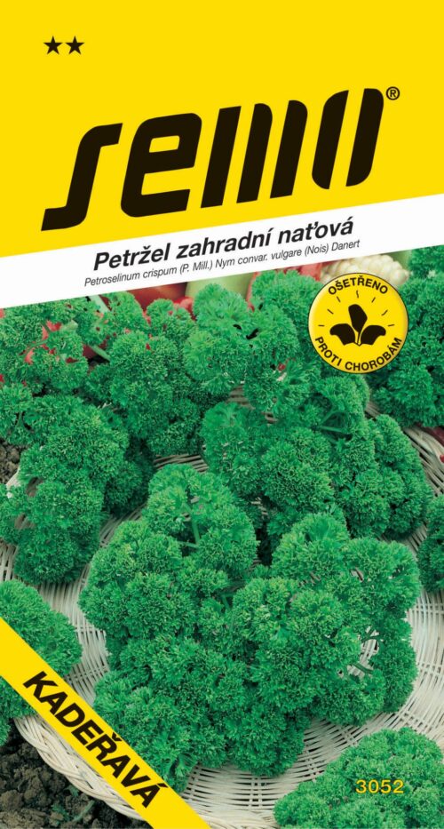 Petržel naťová - Kadeřavá  (Moss curled 2) 4g - Obrázek 1