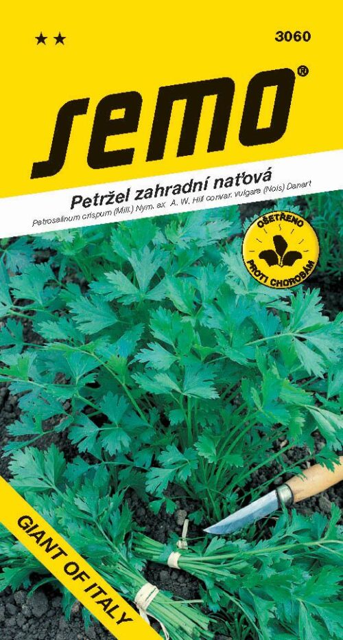 Petržel naťová - Gigante d´Italia hladká 4g - Obrázek 1