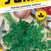 Petržel naťová - Festival 68 hladká 4g