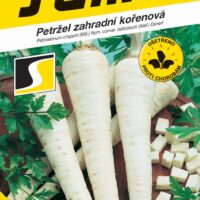 Petržel kořenová - Olomoucká dlouhá 3g