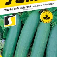 Okurka salát. - Perseus F1 fol,pole 1,3g