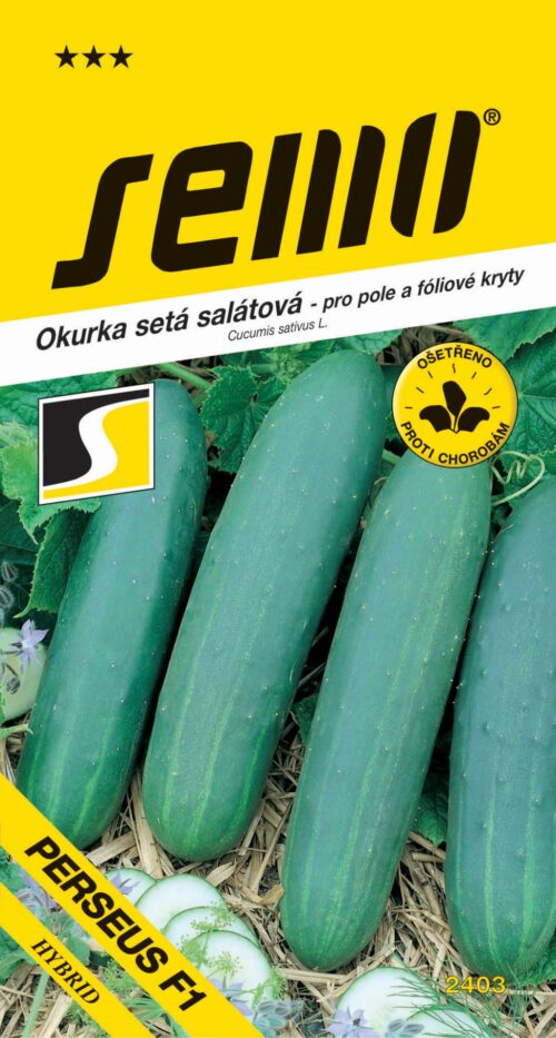 Okurka salát. - Perseus F1 fol,pole 1,3g - Image 1